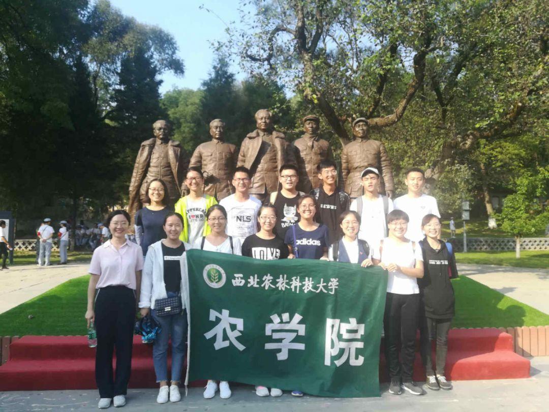 怪物大入侵中文版